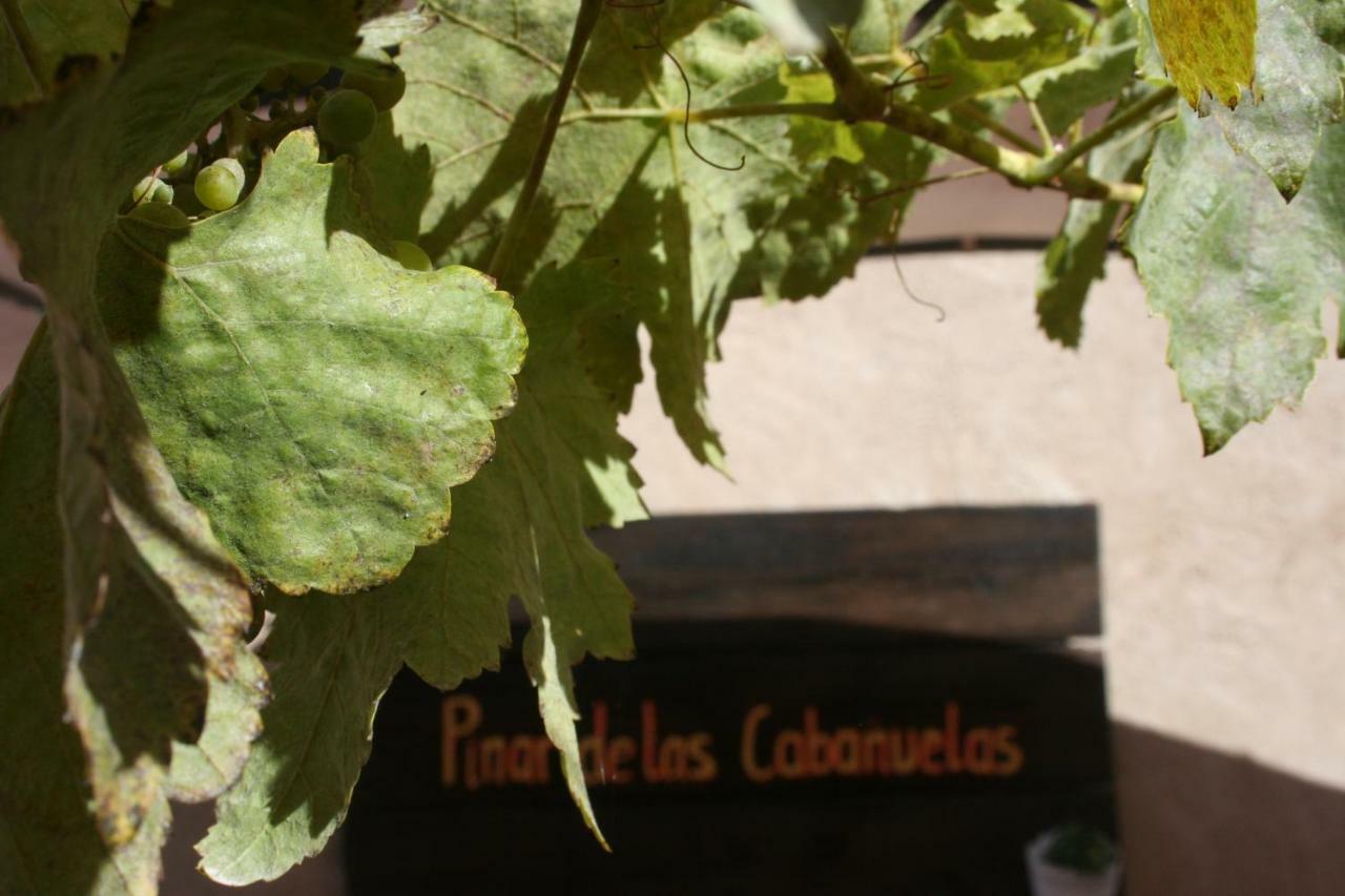Pinar De Las Cabañuelas Villanueva de Duero Buitenkant foto